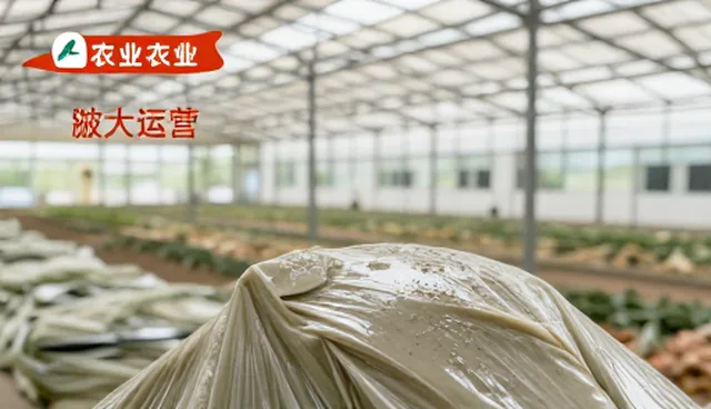 新媒体运营中视觉表现的常见误区解析